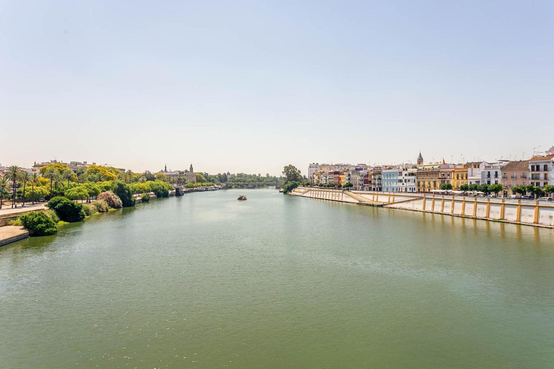 Sunterrace Loft-Triana'S Star, 10' From City Center! Sevilla Exterior foto